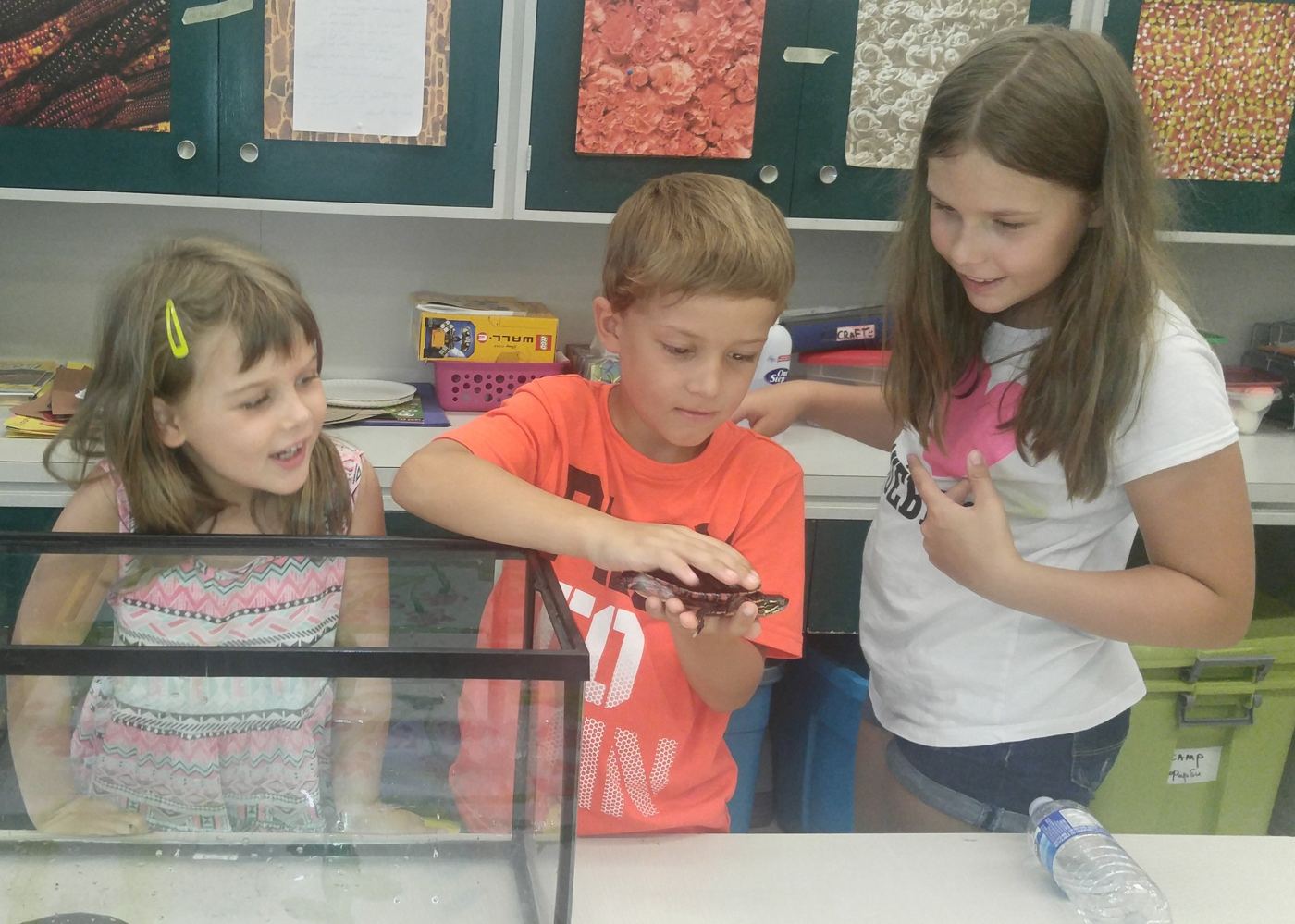 Campers gently holding a turtle